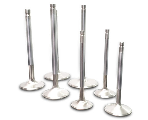 1uzTech Ferrea Intake Valves